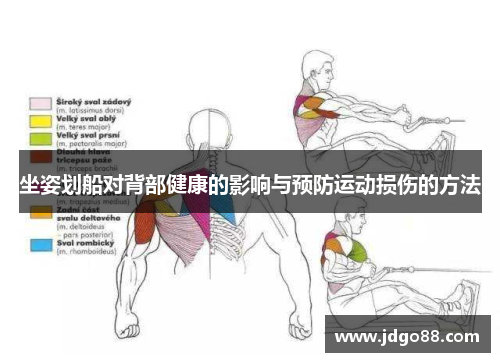 坐姿划船对背部健康的影响与预防运动损伤的方法