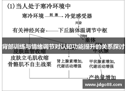 背部训练与情绪调节对认知功能提升的关系探讨